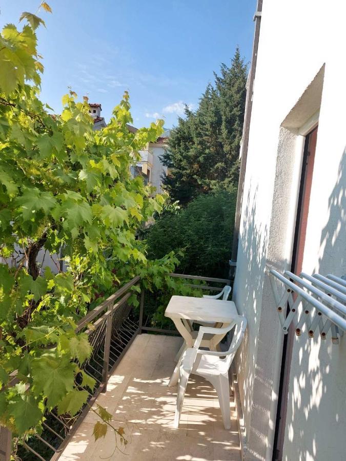 Villa Kralj Budva Eksteriør bilde